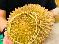 -都念榴莲·城市榴莲