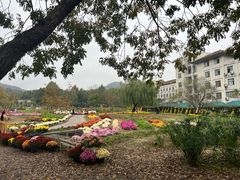 -浙江农林大学(东湖校区)