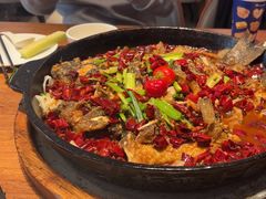 -老板恋上鱼(恒隆广场店)