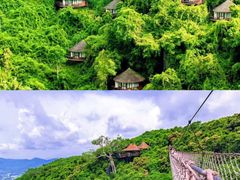 -亚龙湾国际玫瑰谷