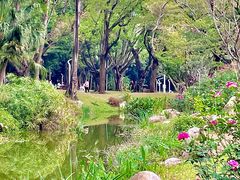 -人民公园(罗湖区)