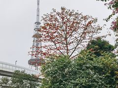 -广州中山纪念堂