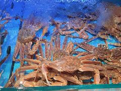 -阿伟海鲜楼·福建菜(延寿店)