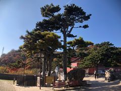 -妙峰山风景名胜区