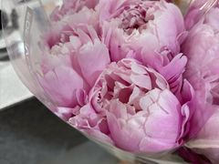 -金翠皇宫粤菜·点心·海鲜(翡翠店)