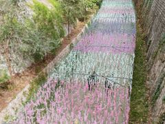 -北京十三陵国家森林公园蟒山景区