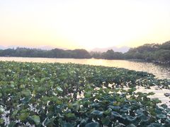 -西湖游船