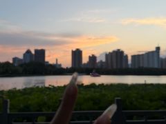 -莲花池公园