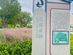 -莱西月湖公园