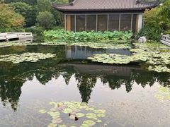 -西湖国宾馆·紫薇厅