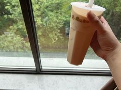 -猫的魔法密林(衣裳街店)