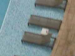 -九龙东皇冠假日酒店室外泳池