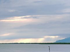 -哈素海