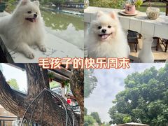 -中山詹园