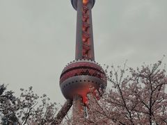 -上海海洋水族馆