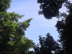 -华侨城湿地公园