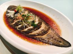 -骏莱海鲜鱼港(五角场店)