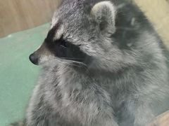 -藦茜花园宠物主题亲子互动体验馆(国顺东路店)