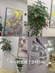 -紫琪尔胸部养护中心