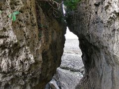 -鹅銮鼻公园