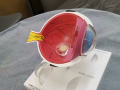 -武汉大学附属爱尔眼科医院(湖北总院)