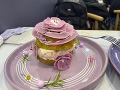 -IPSTAR|潮玩星球(崇文新世界店)