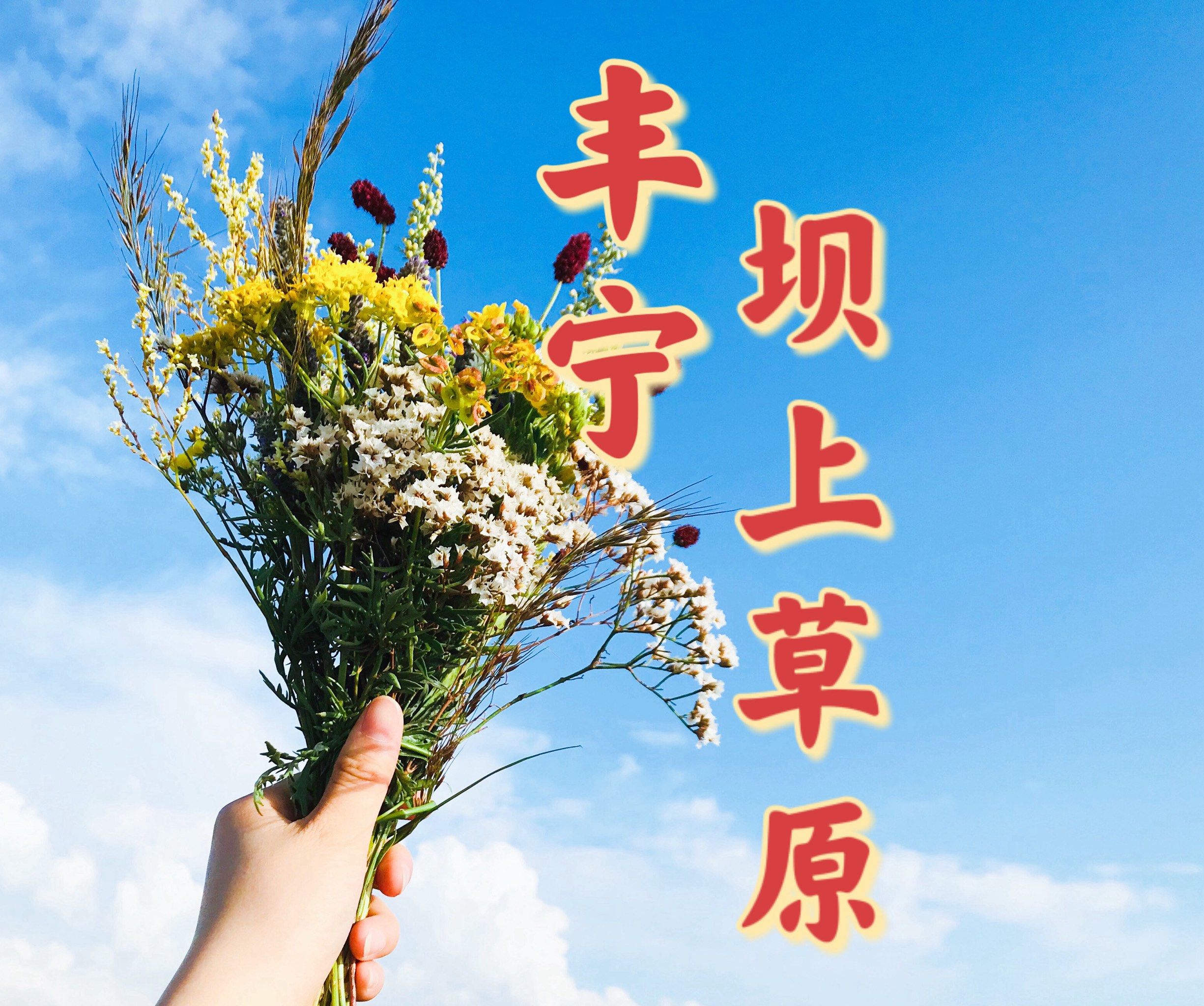 99北京周边游|人生旷野—丰宁坝上【夏末篇】