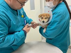 -中农国际动物医院24小时·猫科·骨科·急重症中心