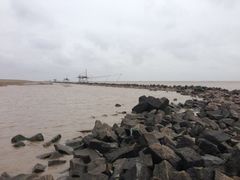 iphone_upload_pic-南汇嘴观海公园