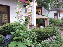 -花间酒庭院餐厅(谷山店)