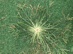 -迪茵湖田家舍生态农场