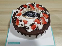-维尔纳斯·生日蛋糕·动物奶油冰淇淋蛋糕(六里桥店)