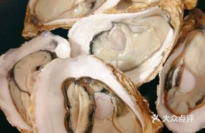 Steamed Oysters