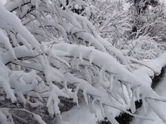 -长春莲花山滑雪场