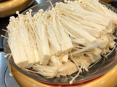 -龍歌自助小火锅(崂山丽达店)