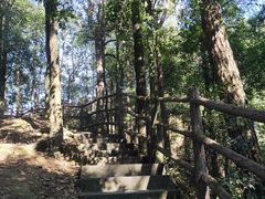 -缙云山景区