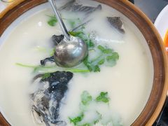 -千岛湖东南湖区