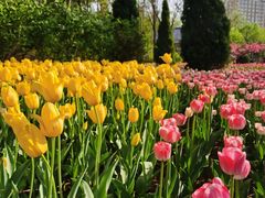 -廊坊文化艺术中心