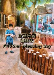-宝燕乐园(闵行旗舰店)