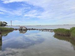 -上海吴淞炮台湾国家湿地公园