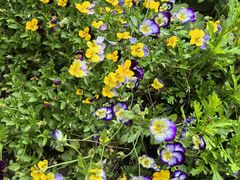 -点都德(广州白云山景区南门店)