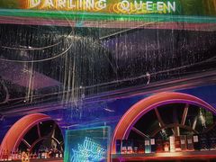 -Darling Queen·Mini·Live·House