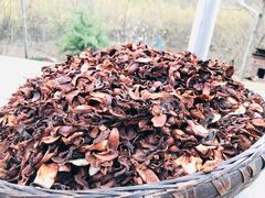 -黑河国家森林公园