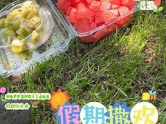 -荷兰花海