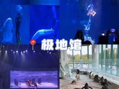 -哈尔滨热雪奇迹