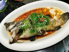-新兴·金羊座·粤菜点心(乐峰店)