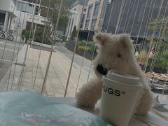 -HUGS coffee(东区店)