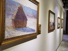 -印象莫奈时光映迹艺术展