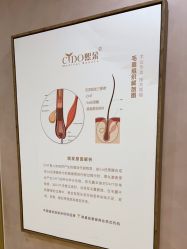 点击看大图 -熙朵美学植发连锁