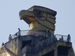 -大金鹰园